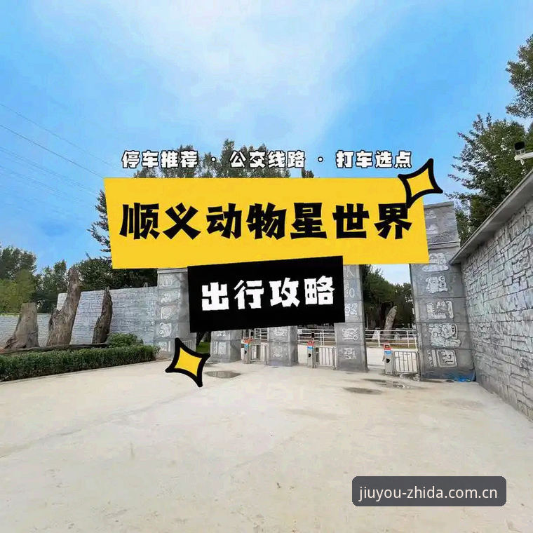最新一站直达更省心CN网页登录 九游娱乐平台最新动态:一站直达更省心CN网页登录,告别绕路时代